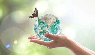 World Environmental Protection Activities