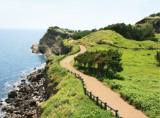 Hanjin Travel